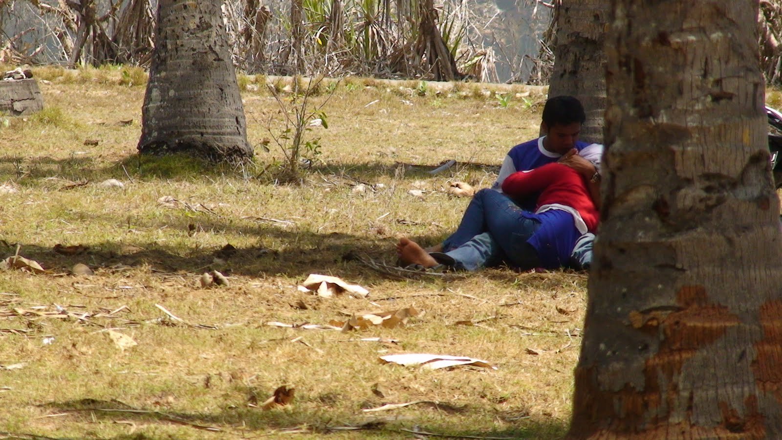 Hijab Yandex Viral Indo Aku Mainin Putingnya Dari Belakang Kebun Sawit Top Global Wikwik 2026